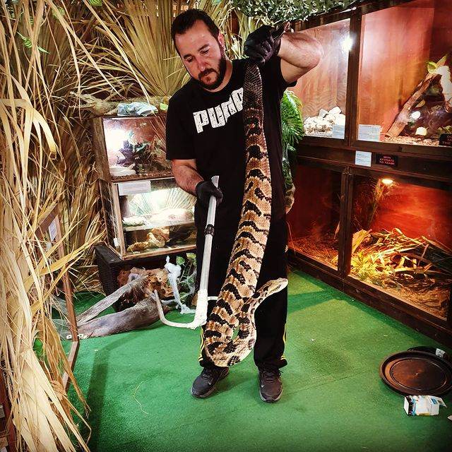 Herpetological Center – The Reptile Jungle