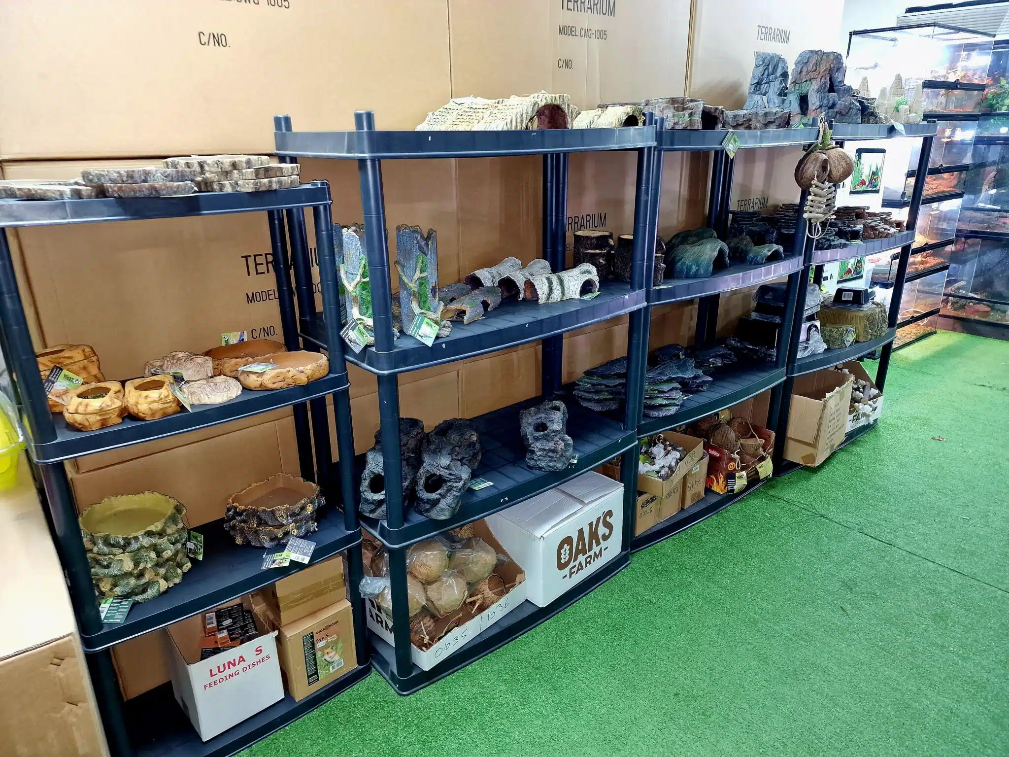 Reptile shops hot sale that deliver