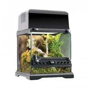 Glass Terrarium 45x45x60cm