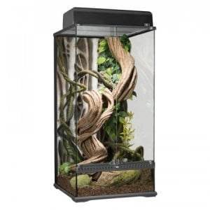 Glass Terrarium 40x40x40cm